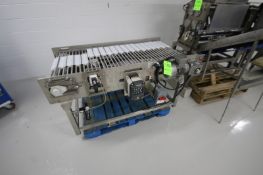 Coastline Equip. Inc. Straight Section of Indexing Belt, Overall Length: 5 ft. L x 27” W, Mounted on