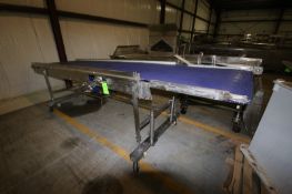 S/S Straight Section of Conveyor, Aprox. 171