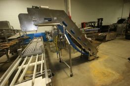 Incline S/S Conveyor with Hopper, with Aprox. 14