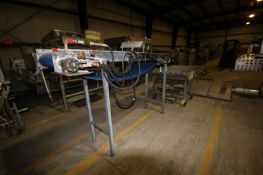 Straight Section of S/S Conveyor, Aprox. 102