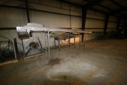 S/S Incline Conveyor, with Aprox. 201