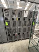 12-DOOR LOCKER CABINET