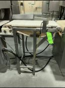 Plastic Intralox Conveyor, 34