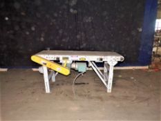 Qty (1) Belt Conveyor - Carbon Steel Frame Belt Conveyor - 22 inch wide white cloth conveyor belting