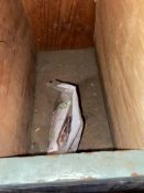 (1) 1 1/4”x 3/4”x1” Cleaned Tee (Bin:F89); (9) 1 1/4”x 1 1/4”x 1/2” Cleaned Tee (Bin:F90); (1) 1 1/