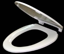 Ival Toilet Seat Mold