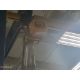 Gorbel 1,000-Lb Overhead Crane - Image 4 of 5
