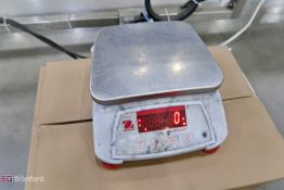 Ohaus scale