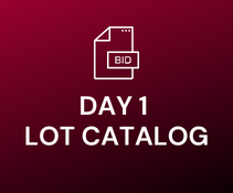 DAY ONE LOTS - LOCATED IN PITTSTON, PA