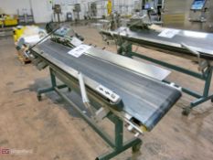 All Packing Machinery model HCBS-1/8T-CP conveyored bag sealer