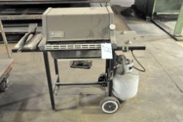 WEBER Portable Propane Barbecue Grill