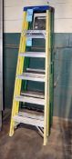 Lot-(2) 6' Fiberglass Step Ladders