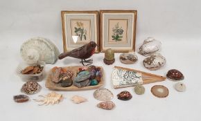 Pair of old coloured engravings, botanical subjects, a quantity of sundry shells, a metal model of a