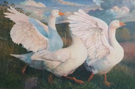 James Lynch (b.1956) Watercolour and gouache drawing 