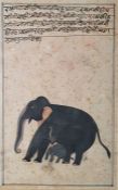 Possibly 19th or 20th century Indian school Watercolour  Elephant with calf, script above, 24cm x