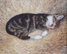 Mary Carter Oil on board 