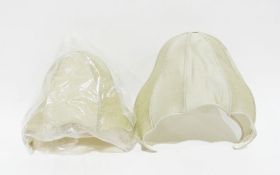 Pair of lampshades