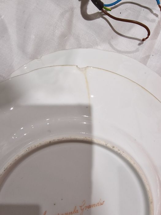 English porcelain Botanical part dessert service, circa 1820, iron-red pattern no.3/3469, - Image 6 of 10