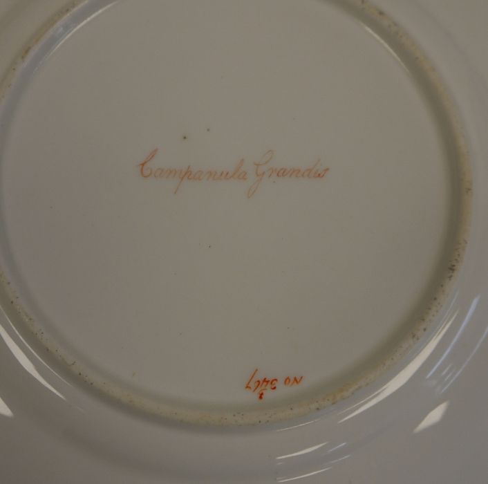 English porcelain Botanical part dessert service, circa 1820, iron-red pattern no.3/3469, - Image 4 of 10