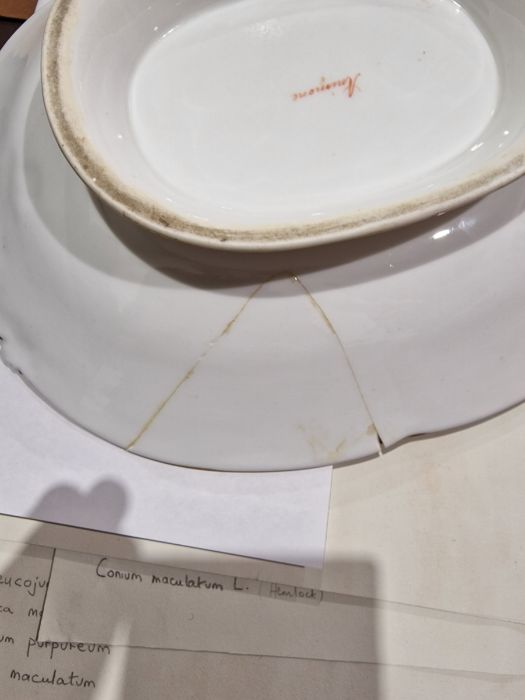 English porcelain Botanical part dessert service, circa 1820, iron-red pattern no.3/3469, - Image 8 of 10
