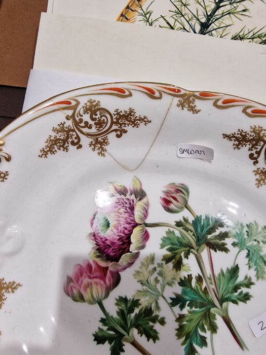 English porcelain Botanical part dessert service, circa 1820, iron-red pattern no.3/3469, - Image 7 of 10