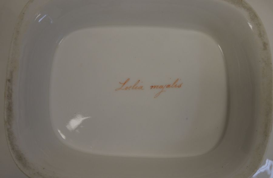 English porcelain Botanical part dessert service, circa 1820, iron-red pattern no.3/3469, - Image 3 of 10