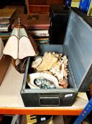 Large conch shell, further shells, a table lamp and a metal box