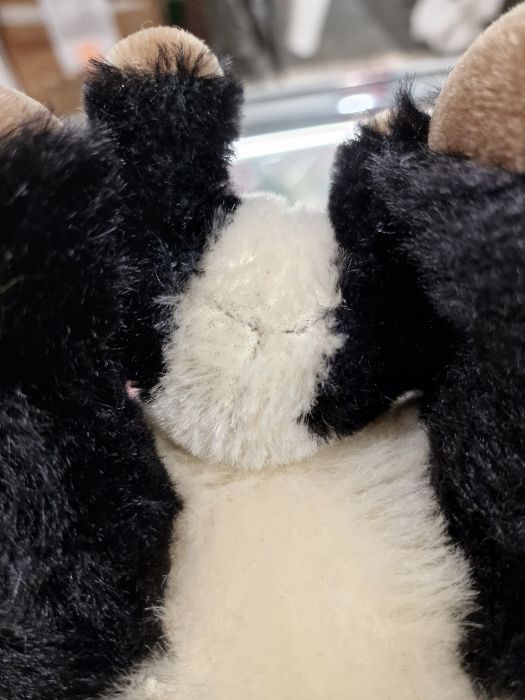 Steiff handmade mohair Cha Cha Panda mother and cub bear with certificate of authenticity and dust - Image 3 of 7
