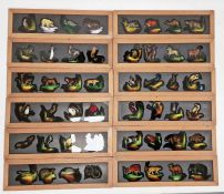 Wooden box with slides of animal pictures within