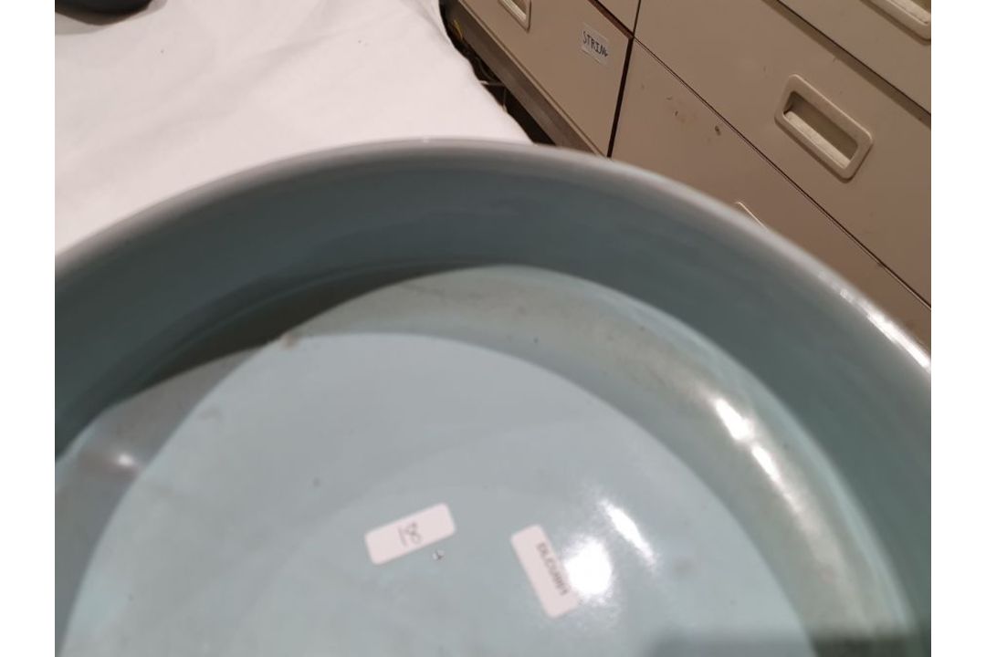 Poole pottery 'Delphis' circular plate, abstract turquoise multi-coloured with red border and - Image 17 of 19