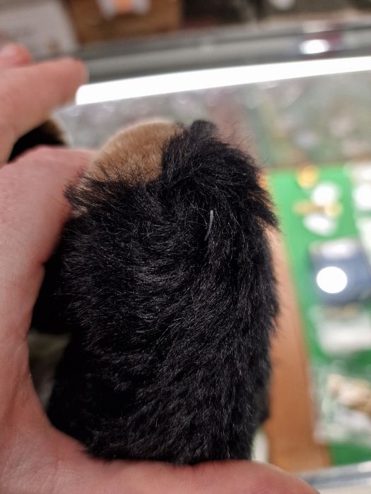 Steiff handmade mohair Cha Cha Panda mother and cub bear with certificate of authenticity and dust - Image 4 of 7