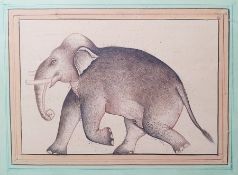 20th century Indian school Watercolour Indian elephant, unsigned, together with coloured engraving