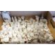 Large collection of crested ware (3 boxes) - Image 3 of 3