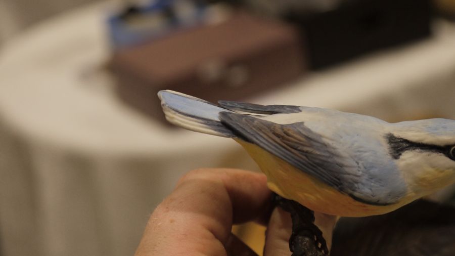 Pair of Albany Fine China Limited birds on bronze branches, one inscribed 'Nut Hatch' and the - Image 16 of 16