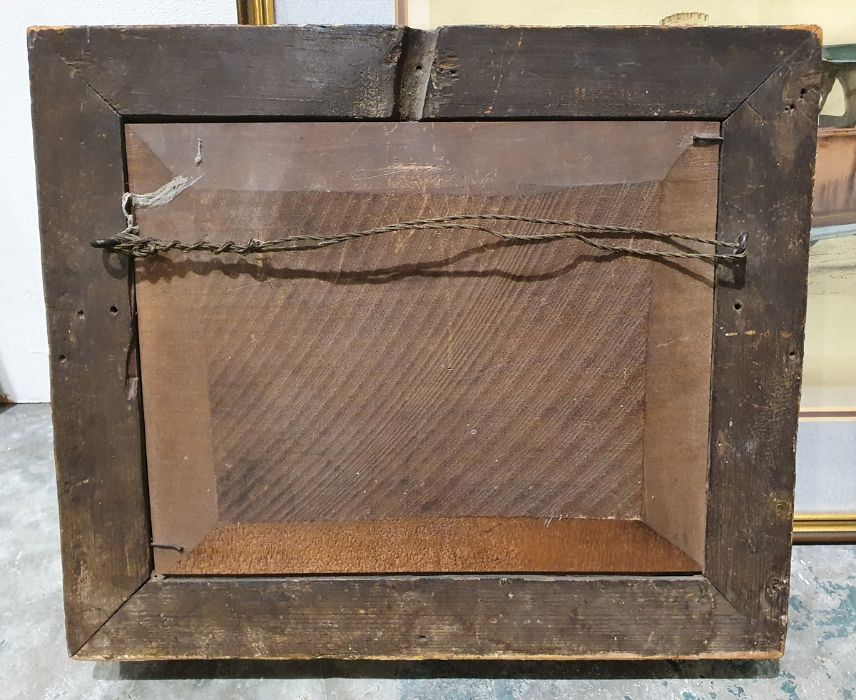 After George Stubbs (1724-1806) Coloured mezzotint engraving “Sharke” engraved by George Townly - Image 5 of 5