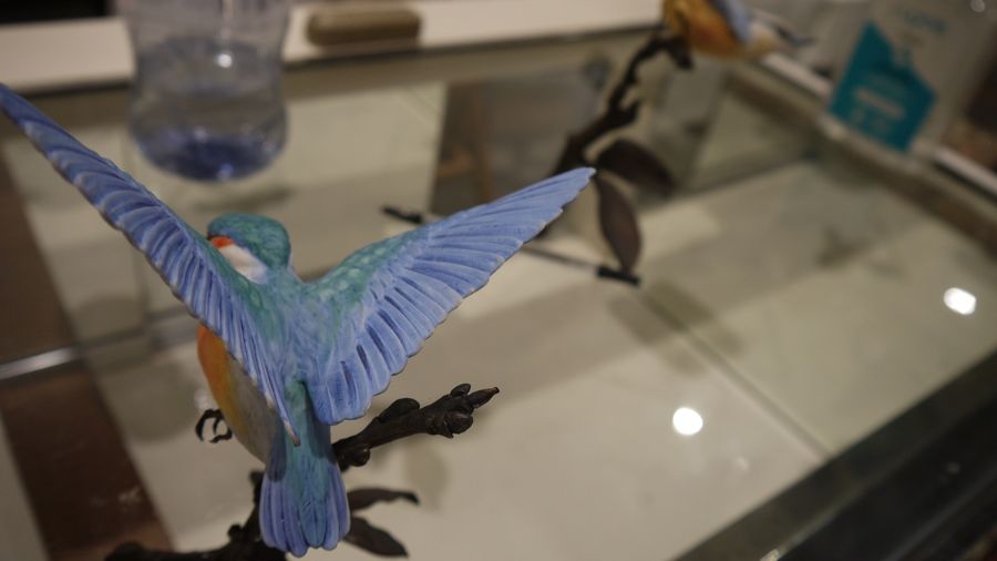 Pair of Albany Fine China Limited birds on bronze branches, one inscribed 'Nut Hatch' and the - Image 12 of 16