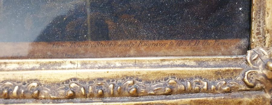 After George Stubbs (1724-1806) Coloured mezzotint engraving “Sharke” engraved by George Townly - Image 4 of 5