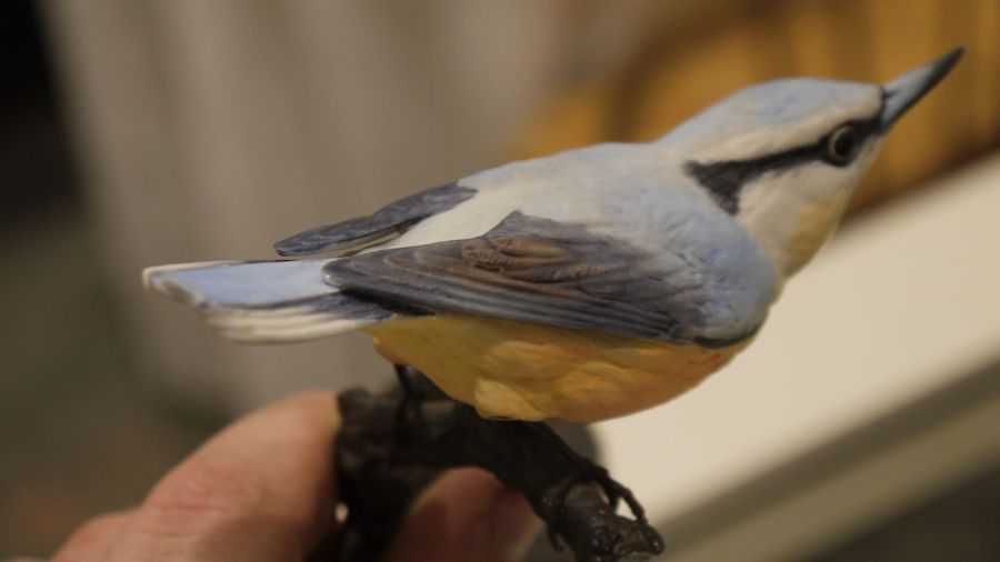 Pair of Albany Fine China Limited birds on bronze branches, one inscribed 'Nut Hatch' and the - Image 15 of 16