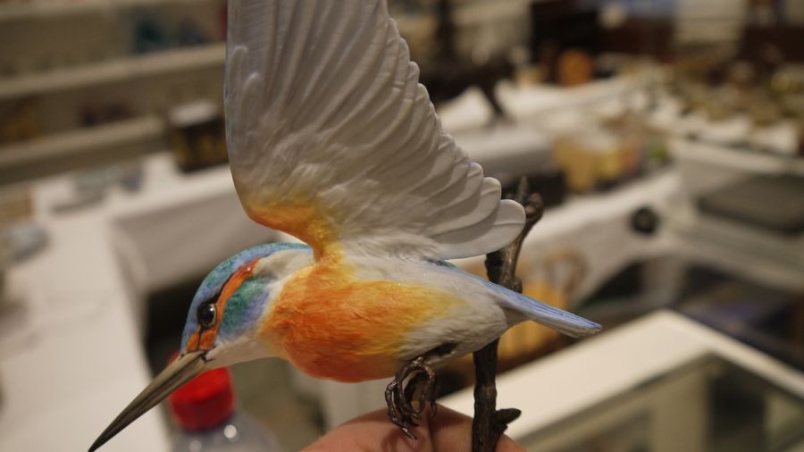 Pair of Albany Fine China Limited birds on bronze branches, one inscribed 'Nut Hatch' and the - Image 13 of 16