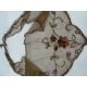 Antique lace collars and shawls, needlepoint, Nottingham lace, etc. x 5 and  a vintage brown net - Image 5 of 6