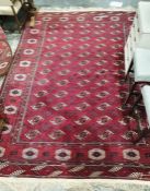 Large eastern style red ground carpet with five rows of twelve elephant foot gulls with multiple