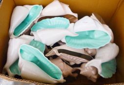 Quantity of Poole pottery 'Twintone' conch shells (2 boxes)
