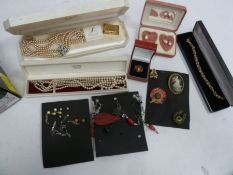 Assorted costume jewellery to include earrings, brooches, necklaces, etc (1 box)
