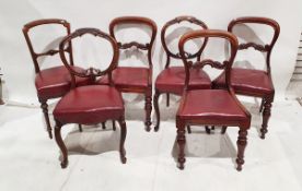 Three mahogany framed drop-seat balloon back dining chairs with turned feet together with three