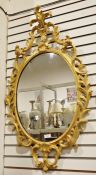 Nineteenth century oval mirror, the carved and pierced frame in the rococo manner, 56cm x 101cm