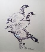 Peter Scott (1909-1989) Pen, ink and wash Study of three geese heightened with white, signed lower