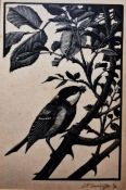 Charles Frederick Tunnicliffe OBE, RA (1901-1979) Etching 