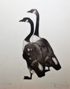 Julian Williams (b. 1953) Etching and aquatint Study of two Canada geese, signed lower right,