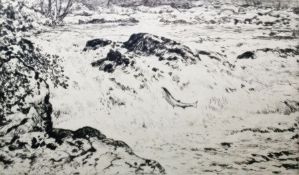 D J Robertson (20th Century) Drypoint etching Salmon leaping up a waterfall, signed lower right,