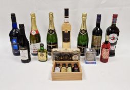 Assortment of champagnes, wines and miniatures, including two Paul Langier champagne, mulled wine,